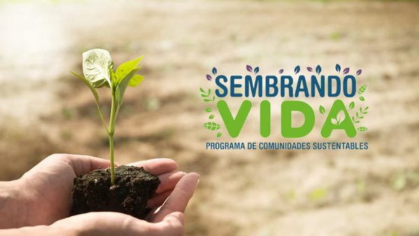 Reforestar no es promesa, es acción: arranca plan con 1.5 millones de árboles en Morelos