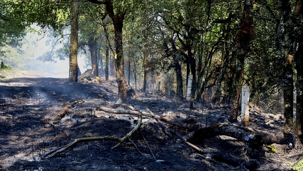 Lluvias en Morelos: respiro verde tras el fuego, pero la amenaza sigue